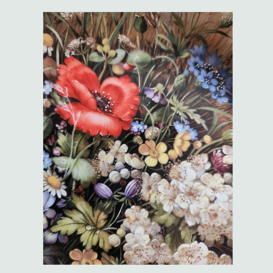 Two Vintage Fürstenberg Collector's Plates Wild Beauties Collection by Hans Graß