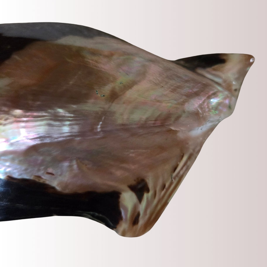 Vintage Mother-of-Pearl Shell Bowl with Spoon – Natural Nacre Condiment Trinket
