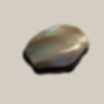 Antique Victorian Mother-of-Pearl Sovereign Purse (c.1880–1910)