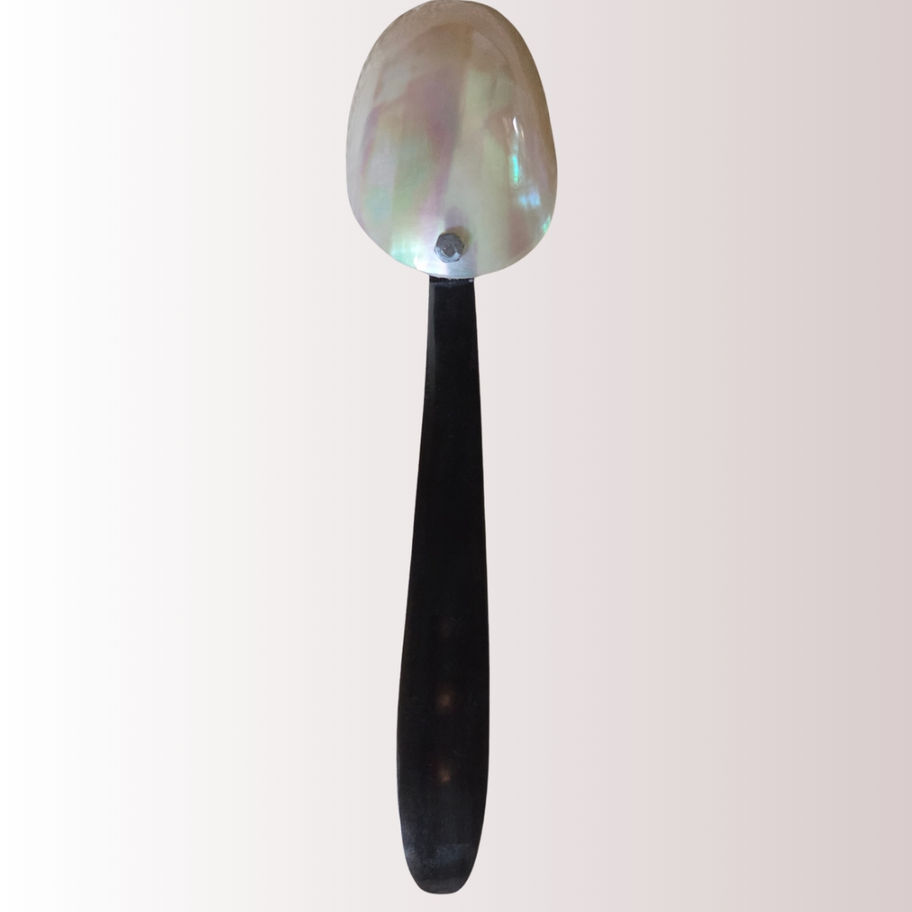 Vintage Mother-of-Pearl Shell Bowl with Spoon – Natural Nacre Condiment Trinket