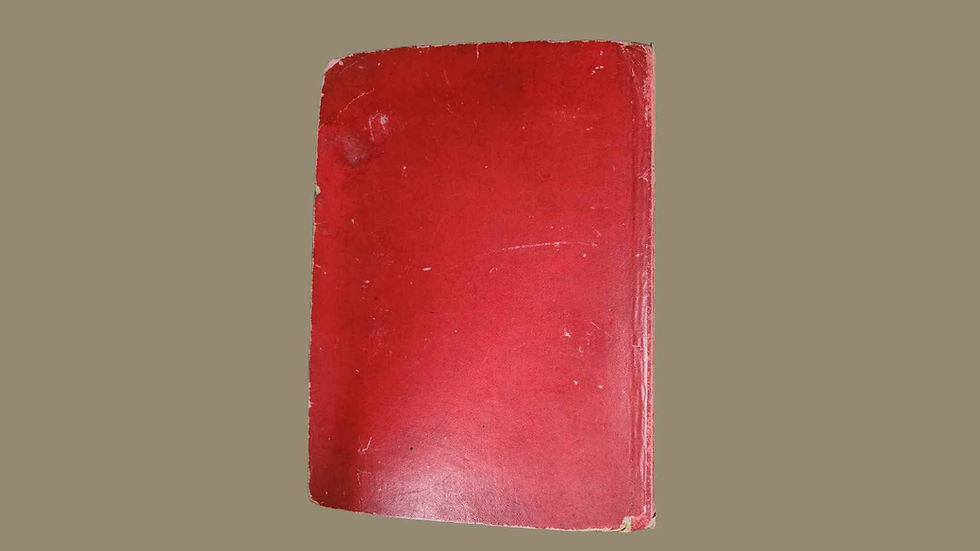 Back cover of victorian album