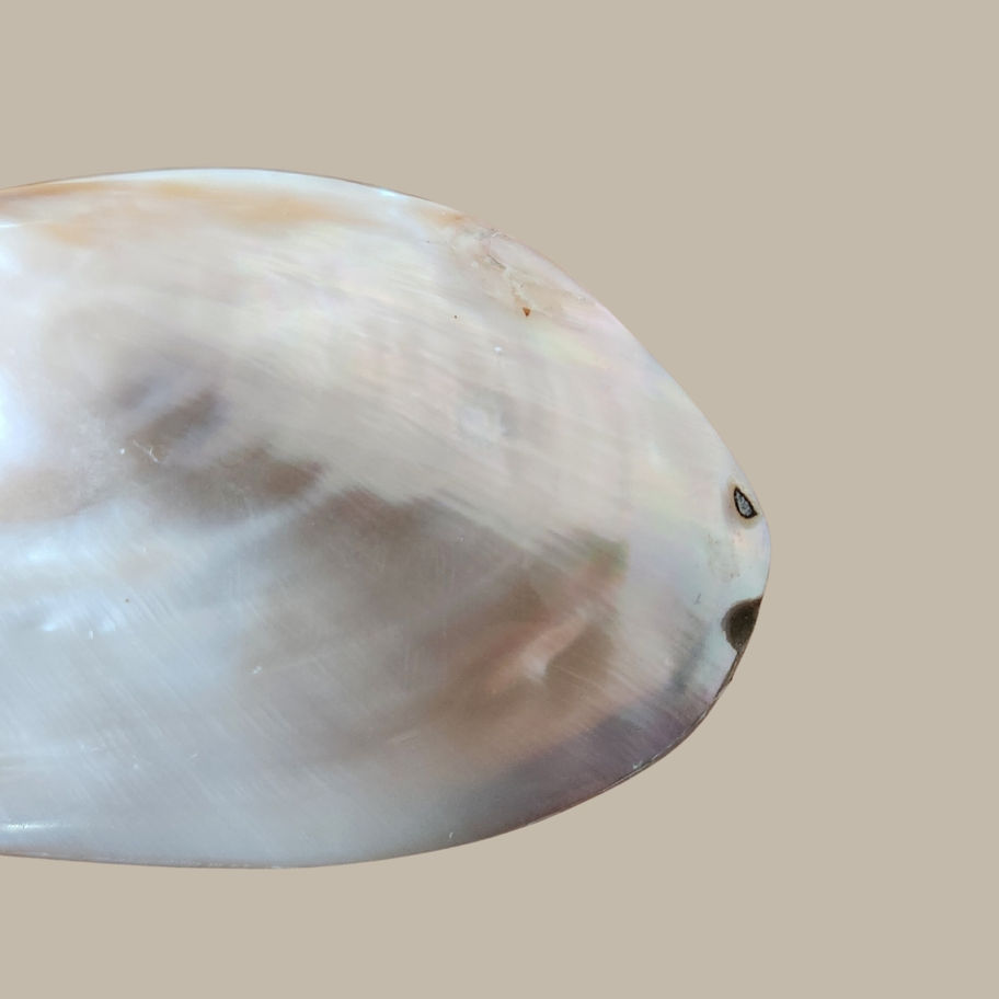 Vintage Mother of Pearl Decorative Shell