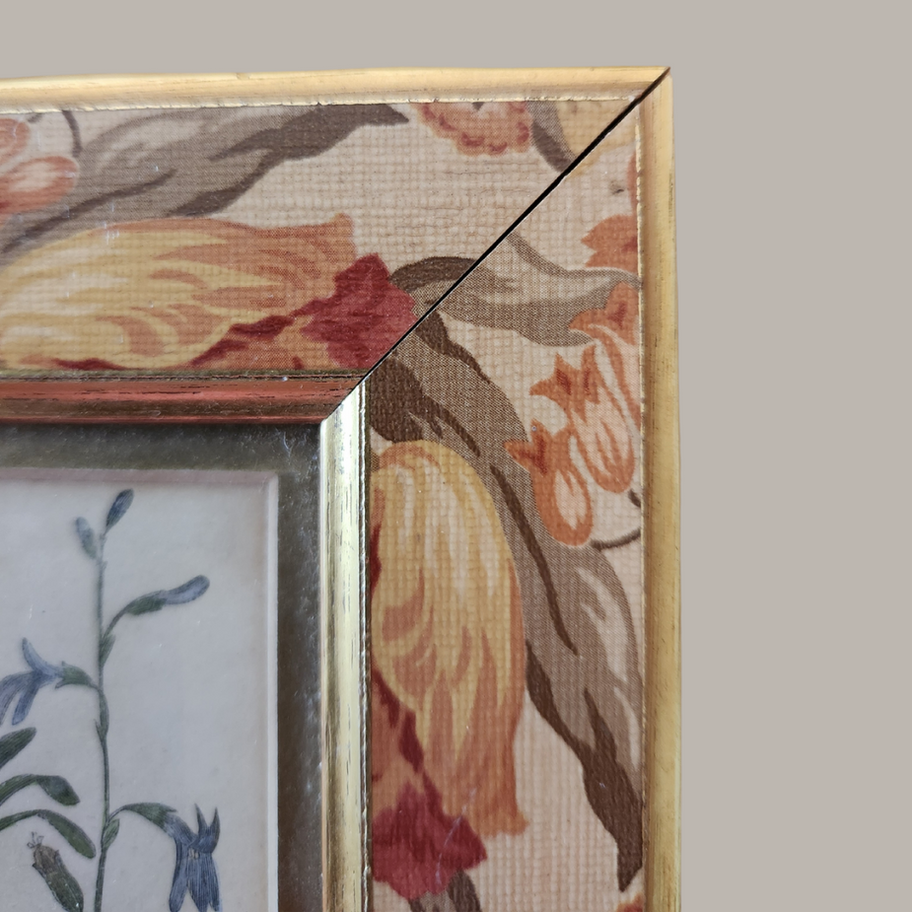 framed antique water lobellia print