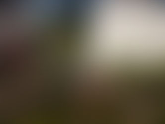 Understanding the Craft of 3D Architectural Models