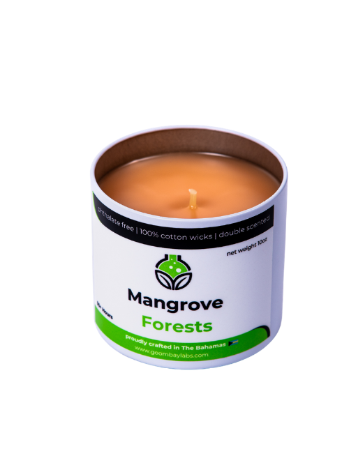 Thumbnail: Mangrove Forests Candle Tin