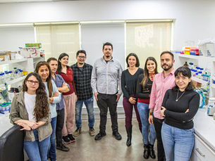 Terapia experimental reprograma células del sistema inmune para frenar el daño cerebral del Parkinson