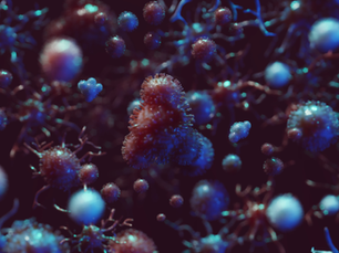 Estudio chileno demuestra que una vacuna personalizada activa respuesta inmune intensa contra tumores sólidos