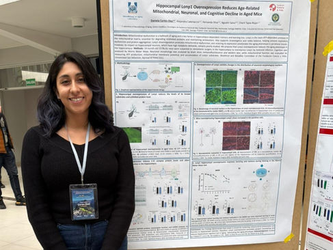 Estudiante del Doctorado en Biotecnología y Bioemprendimiento publica como primera autora un estudio sobre envejecimiento cerebral