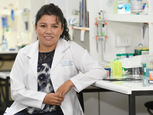 Científica chilena explora potencial de la cúrcuma para atenuar declive cognitivo en envejecimiento