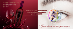 VectorgraphicArts WEBSITE 2
