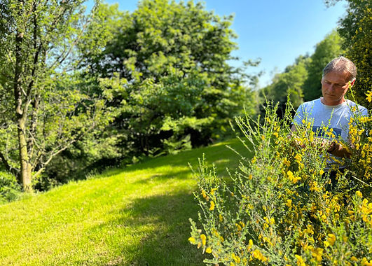 Severino Doppi Naturopata