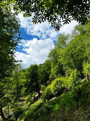 ArkengemmA Severino Doppi Naturopata