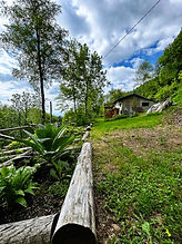 ArkengemmA Severino Doppi Naturopata