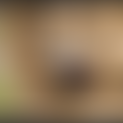 40th birthday: Northern youths celebrate Seyi Tinubu's impactful life