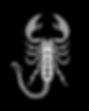 Basementlabel Logo