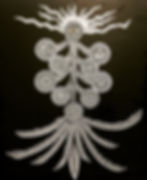 tree of life
