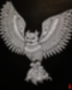 不苦労 Owl