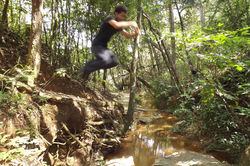 DSCF3668