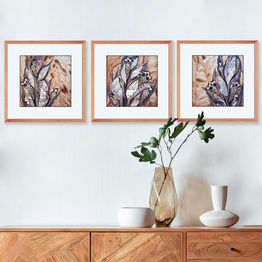 Grey-brown abstract botanical triptych