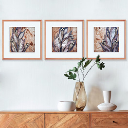 Grey-brown abstract botanical triptych