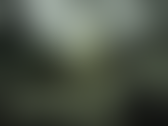 Whispers in the Walls: Clearing Ghosts and Spirits from Your Home