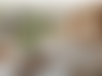 Beautiful home with bad energy