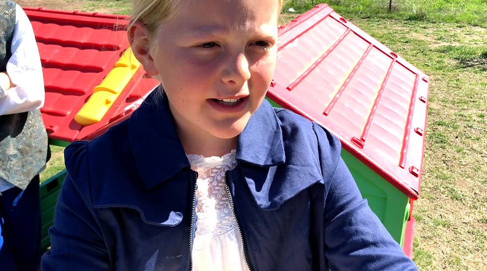 Mrs Keightley's Ransom