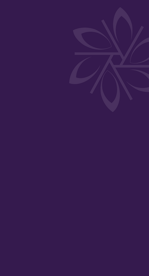 Highlights-02.png