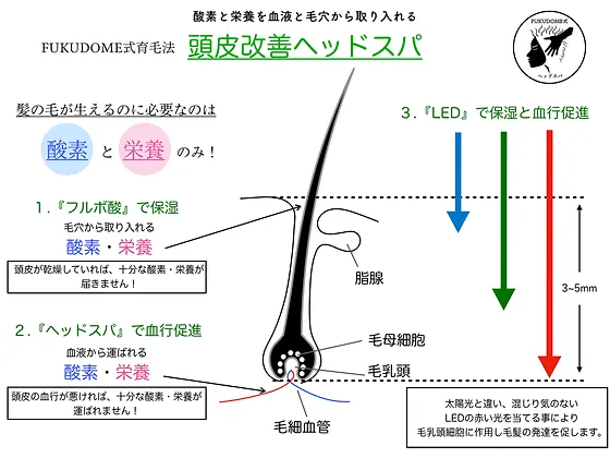 育毛 Yufukudome Headspa