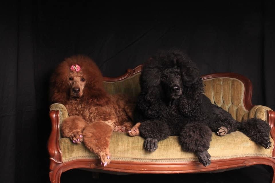 image_6483441 16.JPG