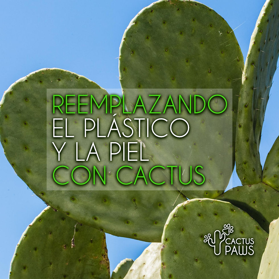 reemplazando el plástico y la piel con cactus