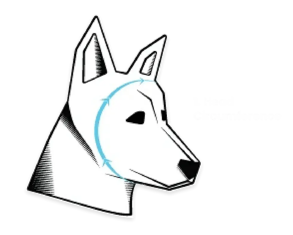 Thumbnail: Gehoorbescherming honden Rex Specs Ear-Pro