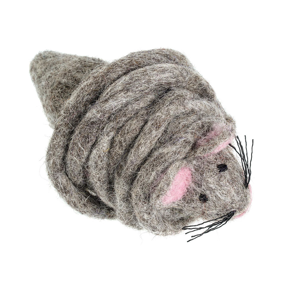 Thumbnail: De leukste speelgoedmuis voor jouw kat: Monte the Mouse