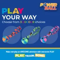 Thumbnail: Motivatie/jachtspeeltje Pocket Powerball Bungee Tug