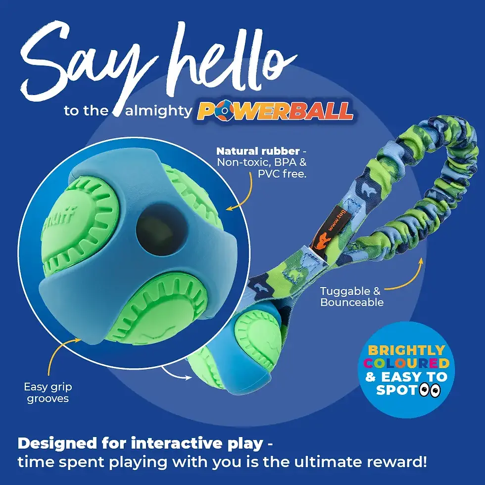 Thumbnail: Motivatie/jachtspeeltje Pocket Powerball Bungee Tug