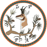 nowe-logo