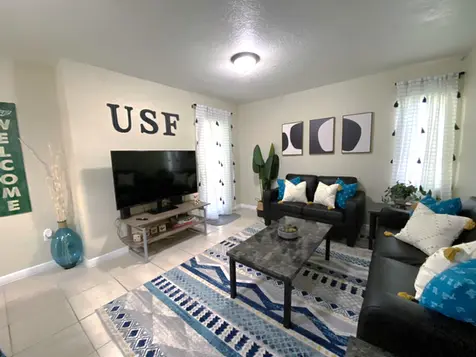 Cable Ready Flat Screen TV in Living Room