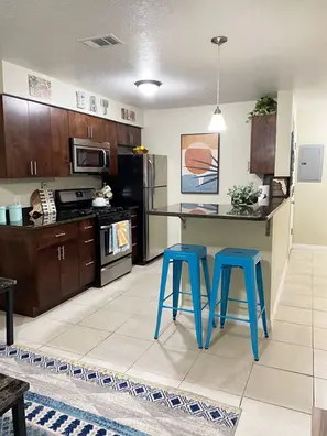 Modern Kitchen Furnishings