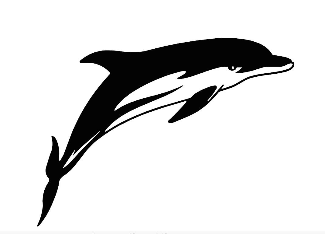 dolphin decal
