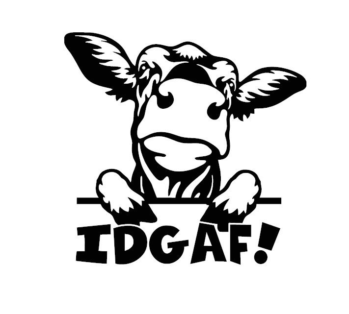 i don't give a fuck decal