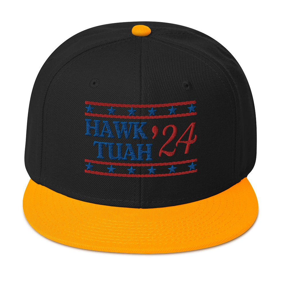 Miniature : Hawk Tuah '24 - Spit On That Thang! Snapback Hat | Otto Cap 125-978