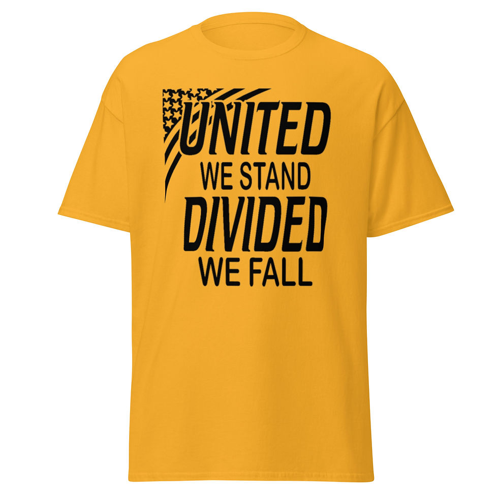 Miniatura: Men's classic tee - United We Stand Divided We Fall