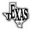 縮圖：texas pride