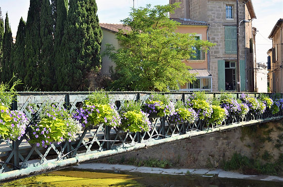 Passerelle_Institut_PÃ©zenas.jpg