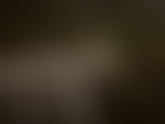 Danielle and Adam // Tumbling Waters