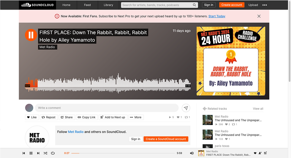 My piece on Met radio