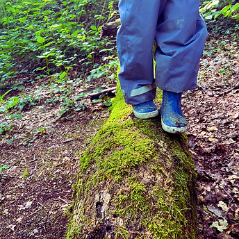 Leben in Einklang Bernadette Vanderstraeten - Wald