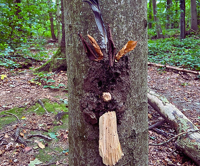 Foto Homepage, Matsch Gesicht.jpg