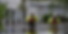 Screen Shot 2025-01-15 at 12.46.46 PM.png