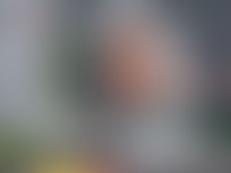 Circuit de Spa-Francorchamps Guide